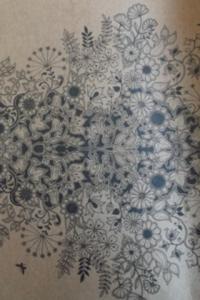 Esrarengiz Bahçe Boyama Kitabı