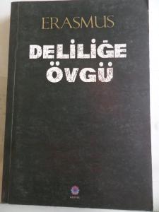 Deliliğe Övgü