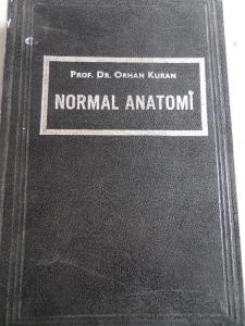 Normal Anatomi
