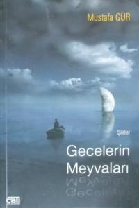 Gecelerin Meyvaları