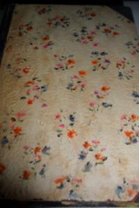 Genç Şairlerimiz ve Eserleri