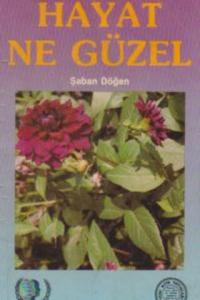 Hayat Ne Güzel