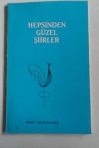 Hepsinden Güzel Şiirler