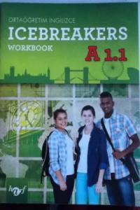 Icebreakers Workbook A1.1