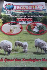 İda Life 2013 / 13 - Ezine