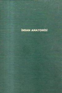 İnsan Anatomisi