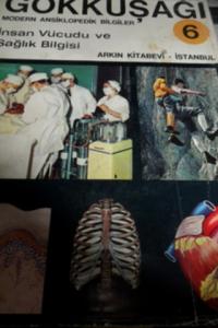 İnsan Vücudu ve Sağlık Bilgisi