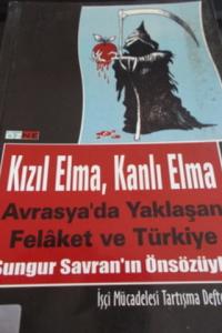 Kızıl Elma, Kanlı Elma Avrasya'da Yaklaşan Felaket ve Türkiye