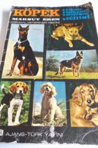 Köpek Bakımı Beslenmesi Üretilmesi Eğitimi