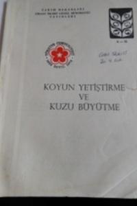 Koyun Yetiştirme ve Kuzu Büyütme