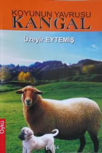 Koyunun Yavrusu Kangal