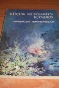 Küçük Dünyamın İçinden