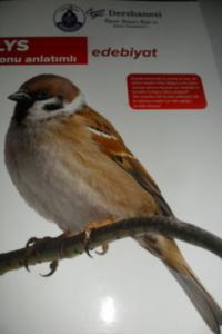 LYS Edebiyat Konu Anlatımlı