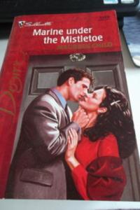 Marine Under The Mistletoe