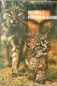 Memeli Hayvanlarımız
