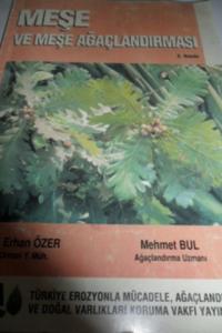 Meşe ve Meşe Ağaçlandırması