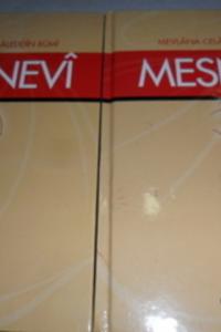 Mesnevi / 2 Cilt Takım