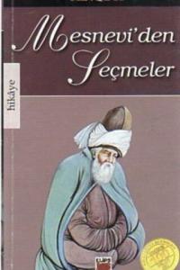 Mesnevi'den Seçmeler