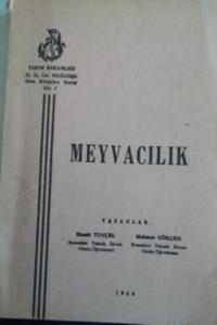 Meyvacılık