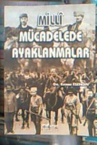 Milli Mücadelede Ayaklanmalar