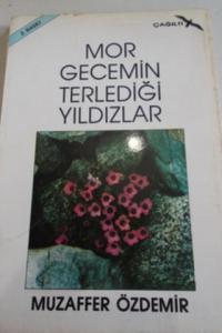 Mor Gecemin Terlediği Yıldızlar