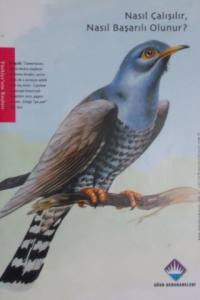 Nasıl Çalışılır, Nasıl Başarılı Olunur? Nasıl Çalışılır, Nasıl Başarılı Olunur?