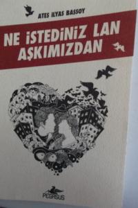 Ne İstediniz Lan Aşkımızdan