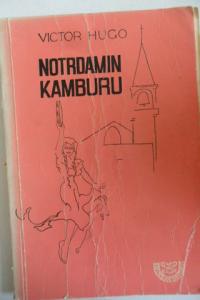Notrdamın Kamburu