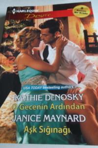 O Gecenin Ardından / Aşk Sığınağı - 48