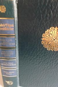 Pilot am Scheideweg - Schwanenliebe - Geheimakte R. Tanja