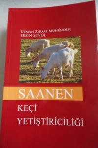 Saanen Keçi Yetiştiriciliği