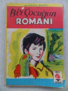 Bir Çocuğun Romanı