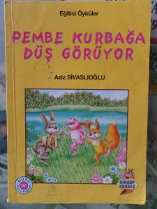 Pembe Kurbağa Düş Görüyor