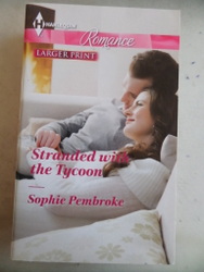 Stranded with The Tycoon