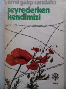 Seyrederken Kendimizi