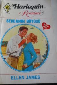 Sevdanın Büyüsü - 41
