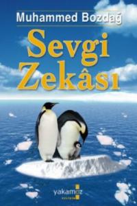 Sevgi Zekası