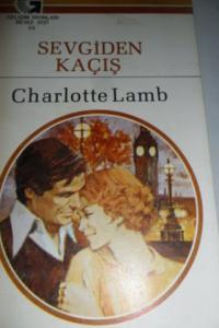 Sevgiden Kaçış - 33