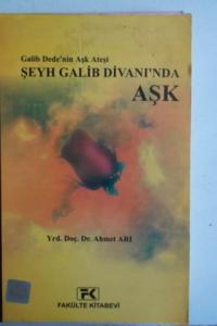 Şeyh Galib Divanı'nda Aşk