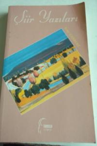 Şiir Yazıları