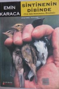 Sintinenin Dibinde