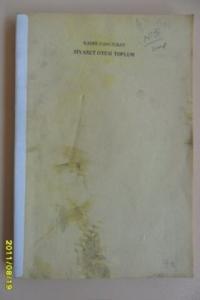 Siyaset Ötesi Toplum