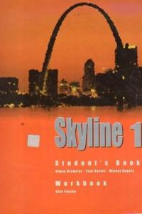 Skyline 1 Student's Book Workbook