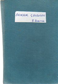 Sokak Çalgıcısı