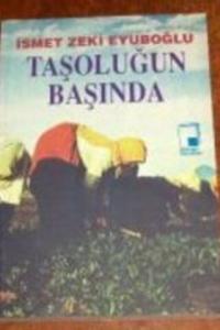 Taşoluğun Başında