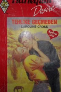 Tehlike Geçmeden/Desire-38