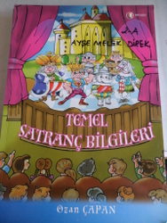 Temel Satranç Bilgileri