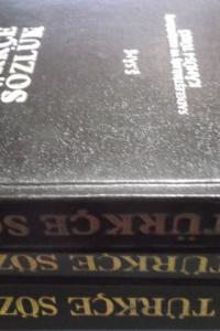 Temel Türkçe Sözlük (3 Cilt Takım)