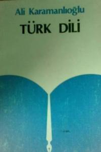 Türk Dili