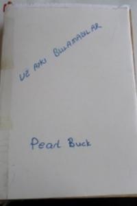 Ve Aşkı Bulamadılar